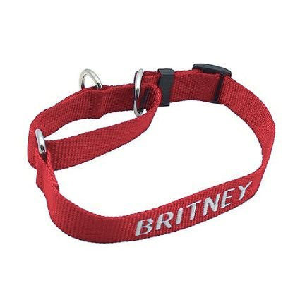 Martingale Collar - with Embroidery, - Lucky Pet